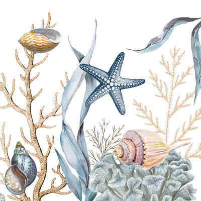 OCEAN TIDE
